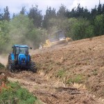 Preparación del terreno para plantación