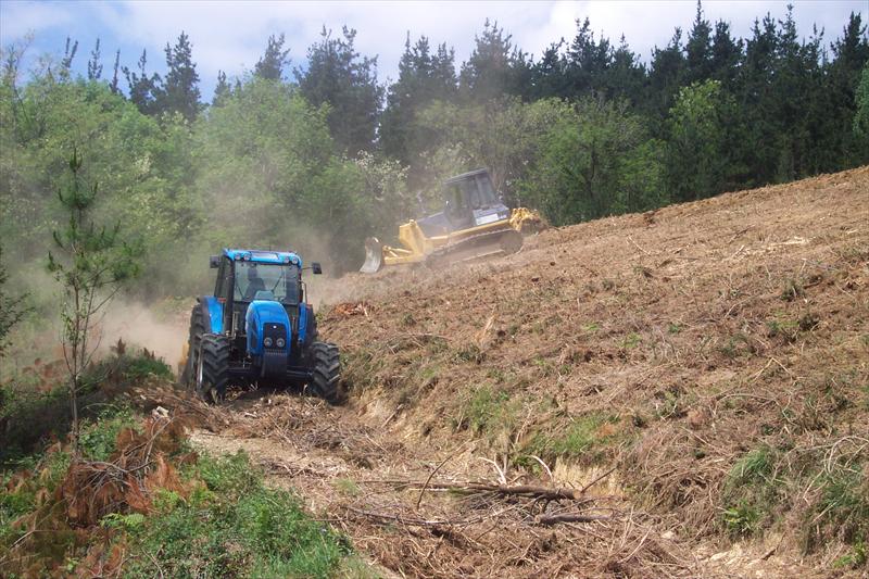 Preparación del terreno para plantación